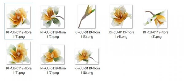 CU 0119 FLORAL - Click Image to Close