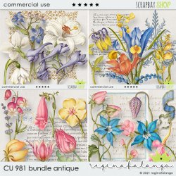 CU 981 BUNDLE ANTIQUE