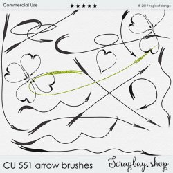 CU 551 ARROW brushes CU 551 ARROW brushes