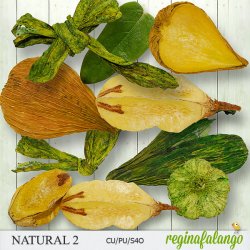 NATURAL 2 NATURAL 2