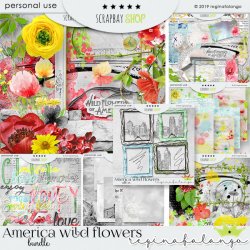 AMERICAN WILD FLOWER BUNDLE