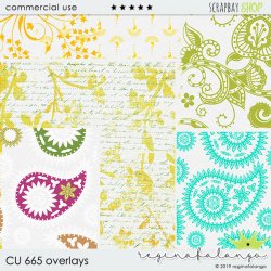 CU 665 OVERLAYS CU 665 OVERLAYS