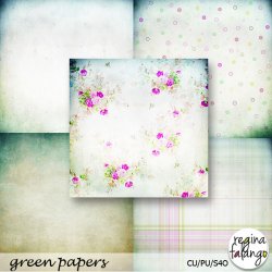 GREEN PAPER GREEN PAPER