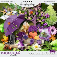 PURPLE RAIN BUNDLE