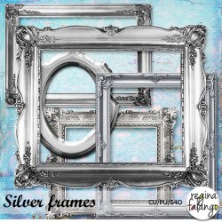 SILVER FRAMES