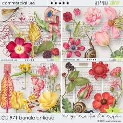 CU 971 BUNDLE ANTIQUE