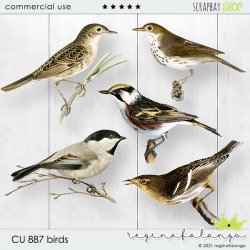 CU 887 BIRDS