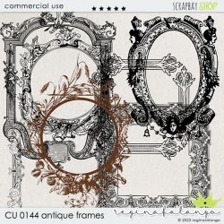 CU 0144 ANTIQUE FRAMES