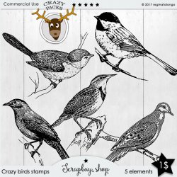 crazy birds crazy birds
