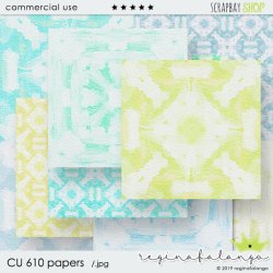 CU 610 PAPERS CU 610 PAPERS