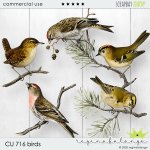 CU 716 BIRDS