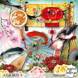 ASIA MIX 05