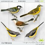 CU 938 BIRDS CU 938 BIRDS