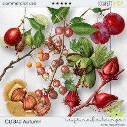 CU 840 AUTUMN