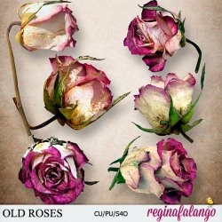 OLD ROSES OLD ROSES