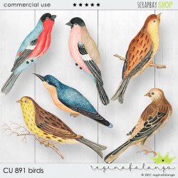 CU 891 BIRDS