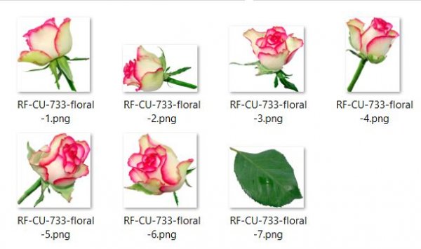 CU 733 FLORAL ROSES - Click Image to Close