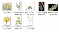 CU 824 FLORA & FAUNA BUNDLE