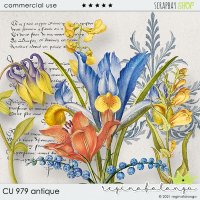 CU 981 BUNDLE ANTIQUE