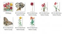 CU 824 FLORA & FAUNA BUNDLE