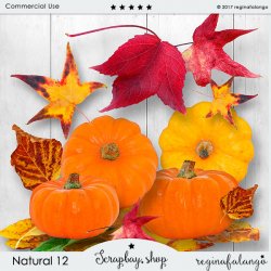 NATURAL 12 NATURAL 12