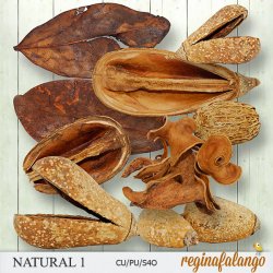 NATURAL 1 NATURAL 1