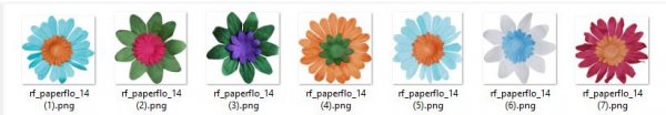 PAPER FLOWERS 14 - Click Image to Close
