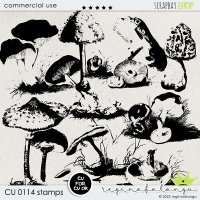 CU 011 WINTER MIX