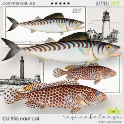 CU 955 NAUTICAL