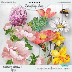 NATURE DRAW 1 NATURE DRAW 1