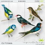 CU 715 BIRDS CU 715 BIRDS