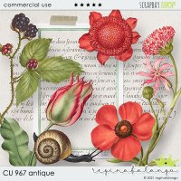 CU 971 BUNDLE ANTIQUE