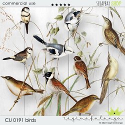 CU 0191 BIRDS