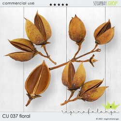 CU 037 FLORAL