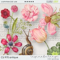 CU 971 BUNDLE ANTIQUE