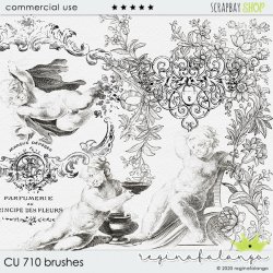 CU 710 BRUSHES  