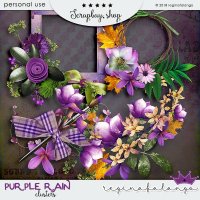 PURPLE RAIN BUNDLE