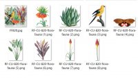 CU 824 FLORA & FAUNA BUNDLE