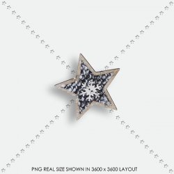 194 xmas STAR 194 xmas STAR