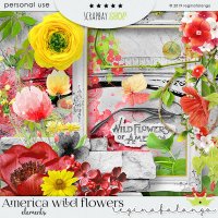 AMERICAN WILD FLOWER BUNDLE