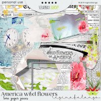 AMERICAN WILD FLOWER BUNDLE