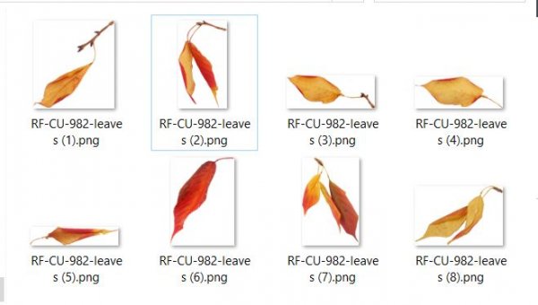CU 982 LEAVES - Click Image to Close