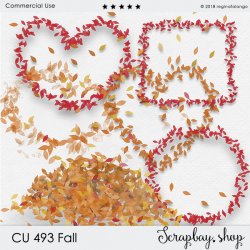 CU 493 FALL CU 493 FALL