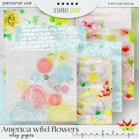 AMERICAN WILD FLOWER BUNDLE