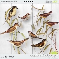 CU 831 BIRDS