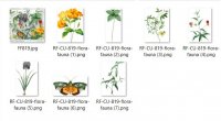 CU 824 FLORA & FAUNA BUNDLE