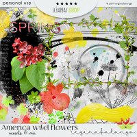 AMERICAN WILD FLOWER BUNDLE