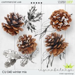 CU 040 WINTER MIX