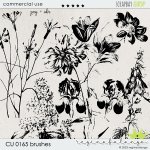 CU 0165 BRUSHES CU 0165 BRUSHES