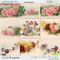 CU 017 PAPERS